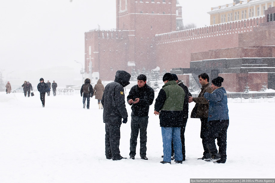 Россия выпал снег. В Москве выпал снег. Снег в Москве фото. Snowstorm in Moscow. В Москве выпал снег прикол.