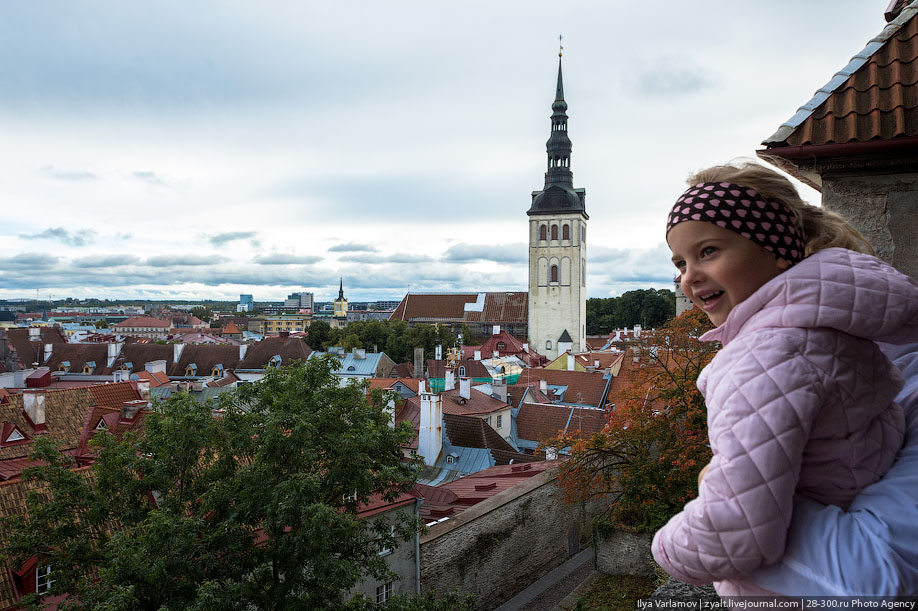 Таллин: как пережить Совок и сохранить лицо можно, Таллине, очень, города, центре, Таллин, больше, город, Таллина, прямо, районы, Эстонии, целом, деревянные, просто, круто, такого, сегодня, хорошо, районах