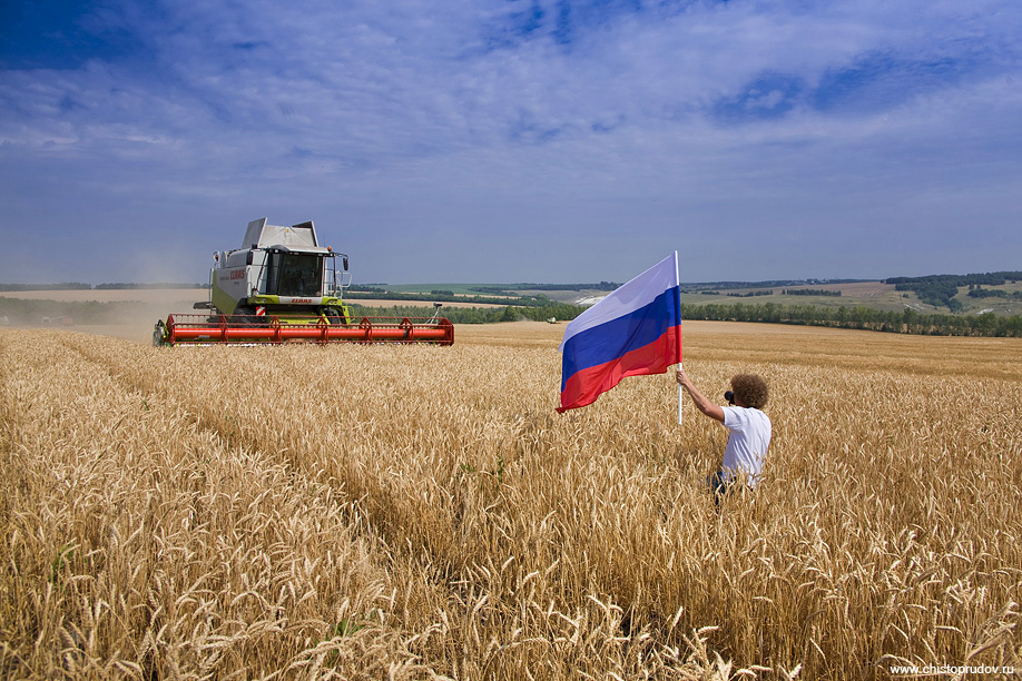 Развитие сельского хозяйства картинки для презентации